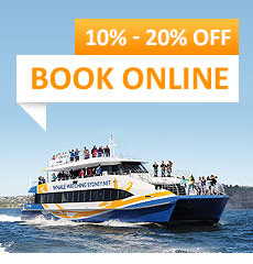 Book Online Now
